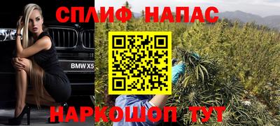 индика Отрадное